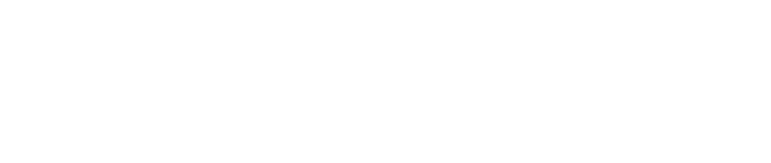 Moonlight Boat Co. wordmark